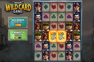 Wild Card Gang&nbsp;Soundtrack