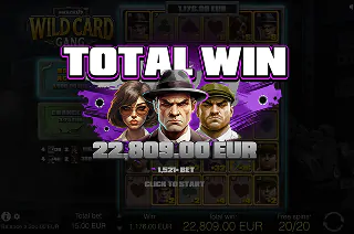 Wild Card Gang&nbsp;Graphics